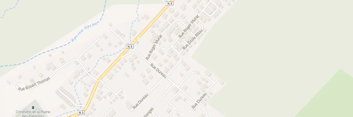 Plan du 3 Rue Emile Ritou à La Plaine-des-Palmistes