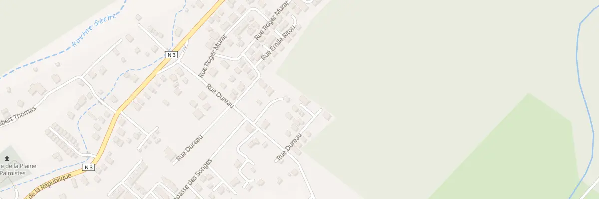 Plan du 9 Rue des Fanjans à La Plaine-des-Palmistes