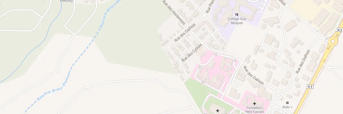 Plan du 29 Rue des Cytises à Saint-Benoît