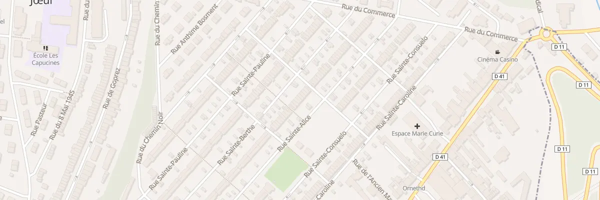 Plan du 44 Rue Sainte Berthe à Jœuf