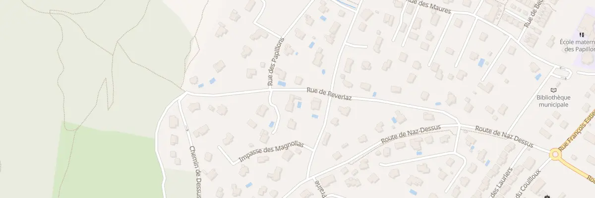 Plan du 305 Rue de Reveriaz à Échenevex