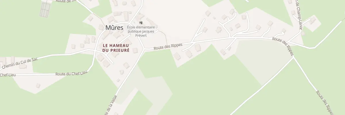 Plan du 1585 Rte des Rippes à Mûres
