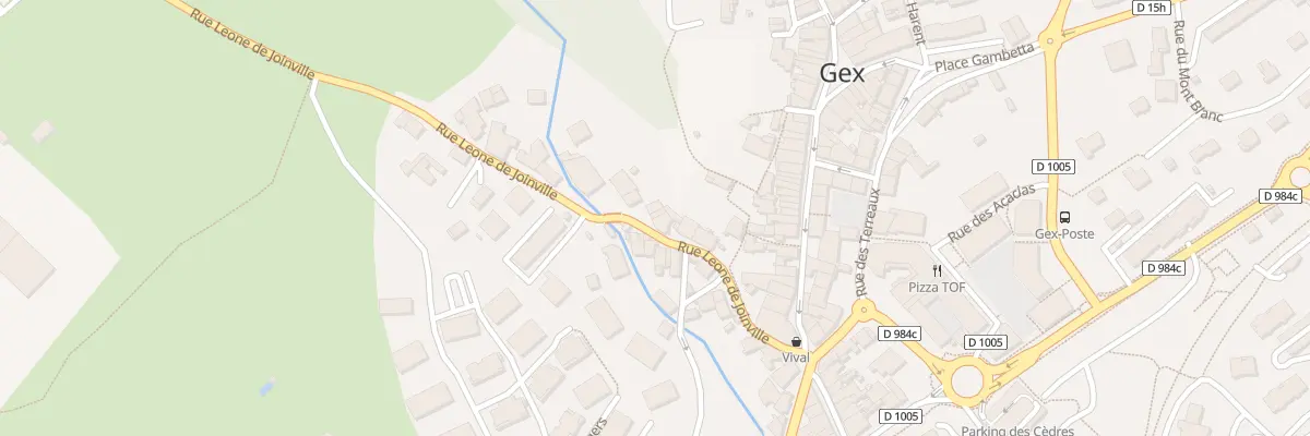 Plan du 162 Rue Leone de Joinville à Gex