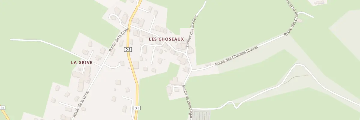 Plan du 160 Mte des Choseaux à Gruffy