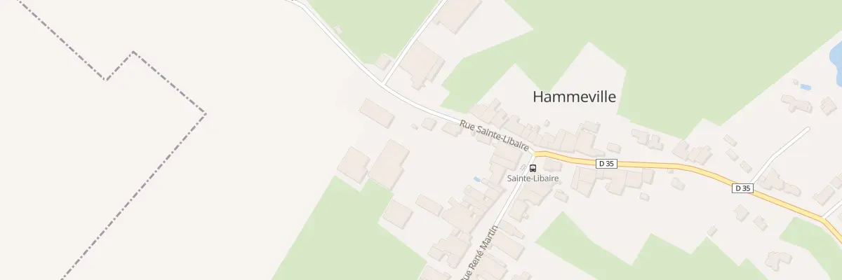 Plan du 23 Rue Sainte Libaire à Hammeville