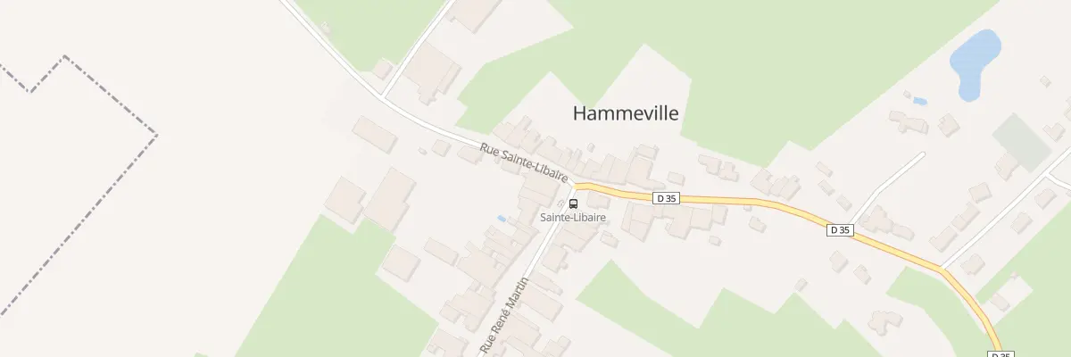 Plan du 17 Rue Sainte Libaire à Hammeville