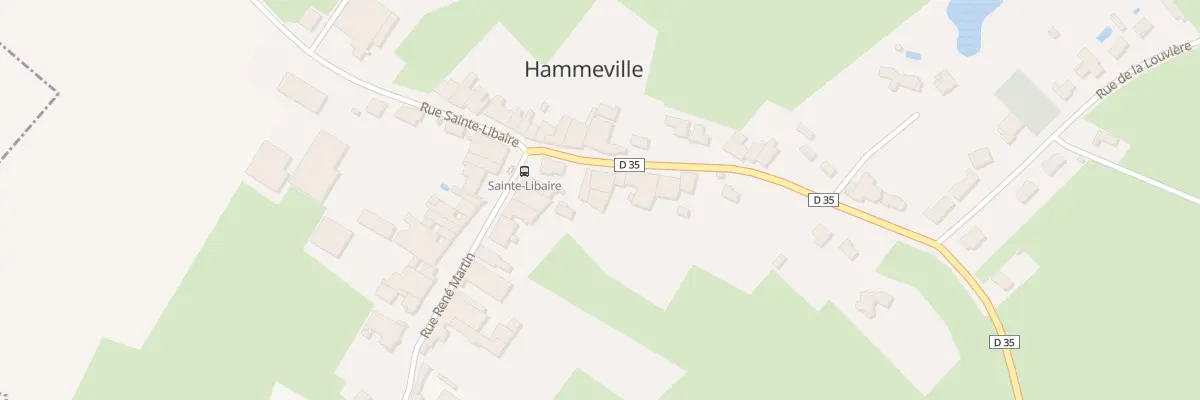 Plan du 15 Rue Sainte Libaire à Hammeville