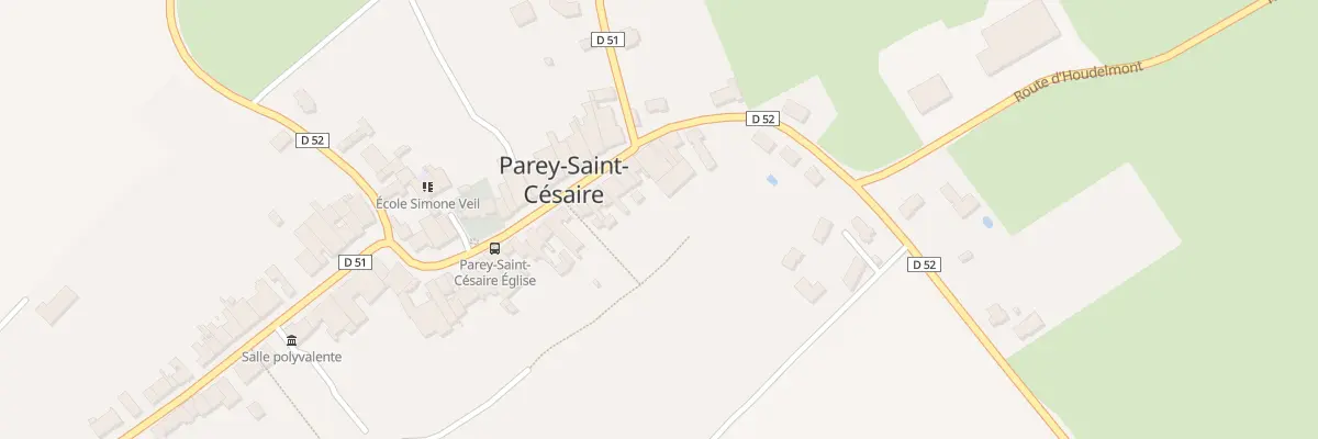 Plan du 38 Rue du Maréchal Foch à Parey-Saint-Césaire