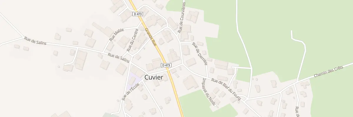 Plan du 1 Rue de Bief du Fourg à Cuvier
