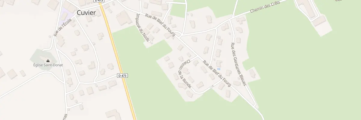 Plan du 12 Rue de Bief du Fourg à Cuvier