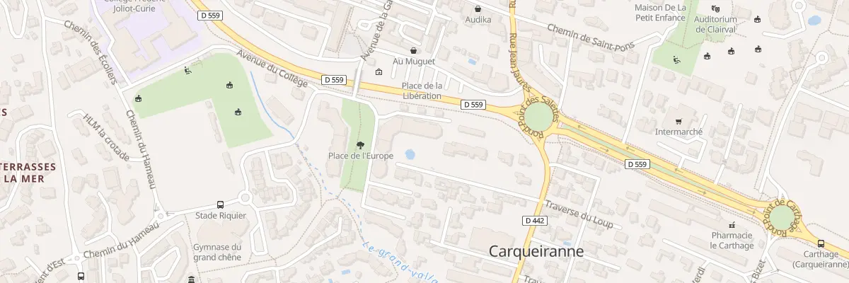 Plan du 37 All Albert et Emilie Jahandiez à Carqueiranne