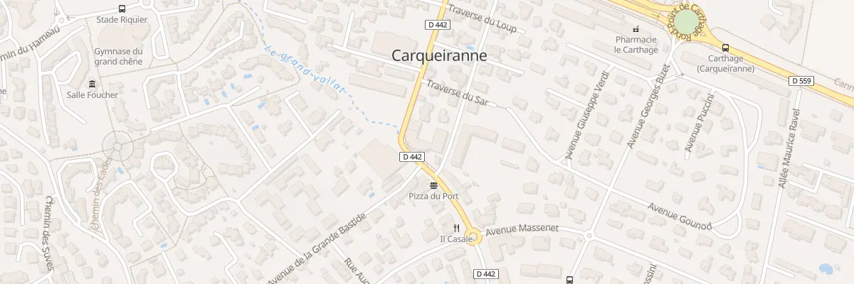 Plan du 21 Av General de Gaulle à Carqueiranne