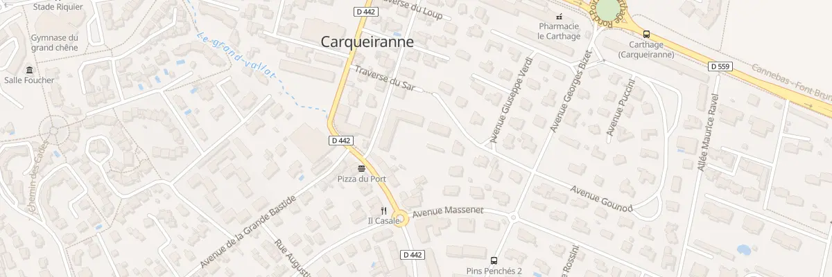 Plan du 33 Av des Redonnes à Carqueiranne