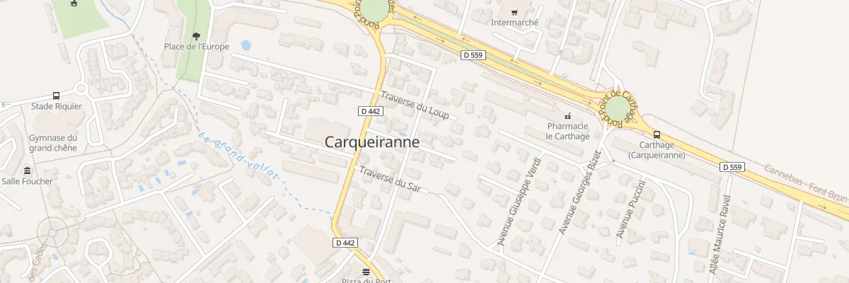 Plan du 21 Av des Redonnes à Carqueiranne
