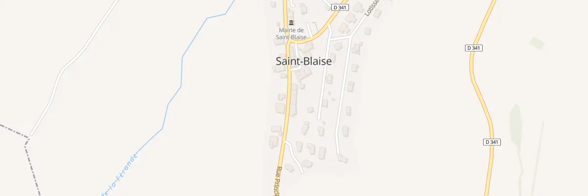 Plan du 411 Rue principale à Saint-Blaise