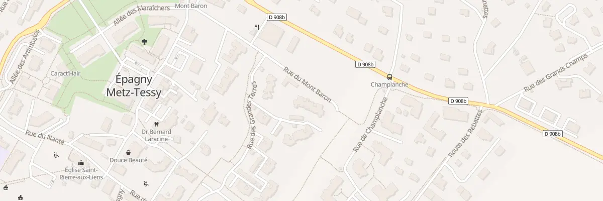 Plan du 220 Rue du Mont Baron à Epagny Metz-Tessy
