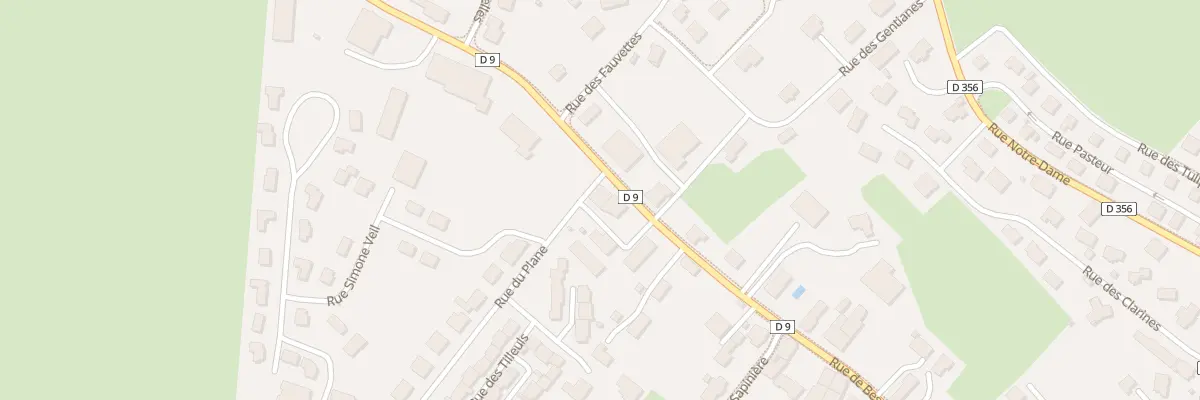 Plan du 50 Rue de Besançon à Levier