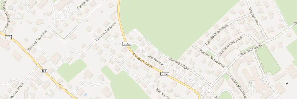 Plan du 19 Rue Pasteur à Levier