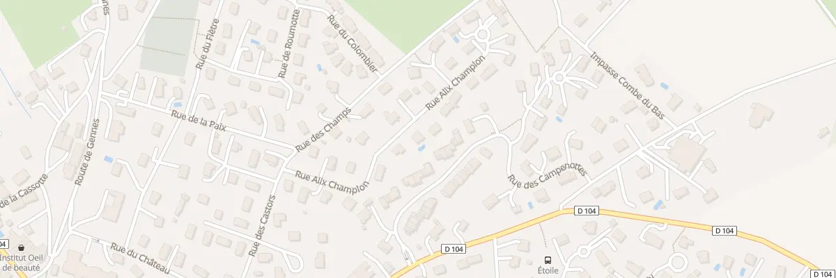 Plan du 12 Rue Alix Champlon à Saône