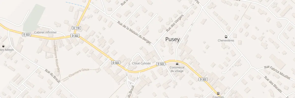 Plan du 20 Rue de la Maison du Berger à Pusey
