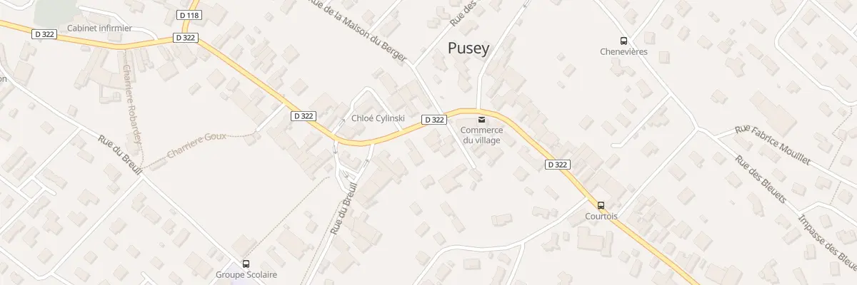 Plan du 43 Rue Gustave Courtois à Pusey