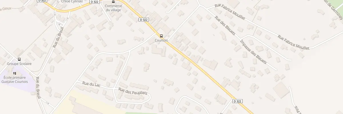 Plan du 25 Rue Gustave Courtois à Pusey