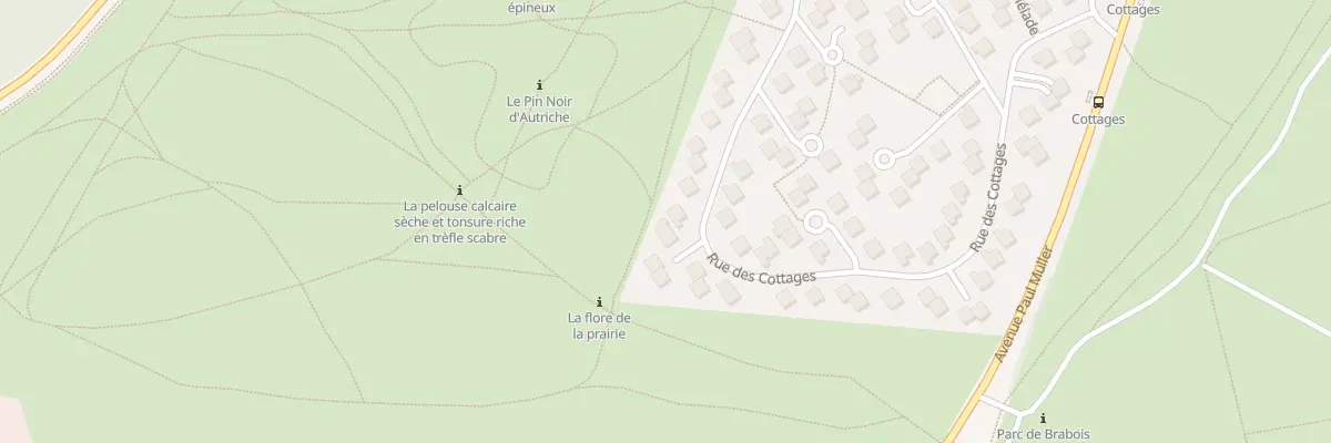 Plan du 50 Rue des Cottages à Villers-lès-Nancy