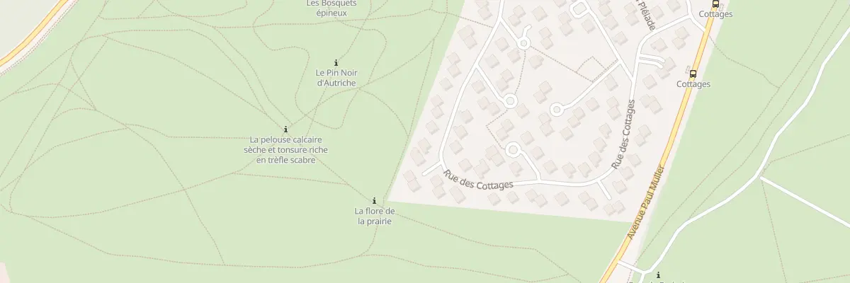 Plan du 48 Rue des Cottages à Villers-lès-Nancy