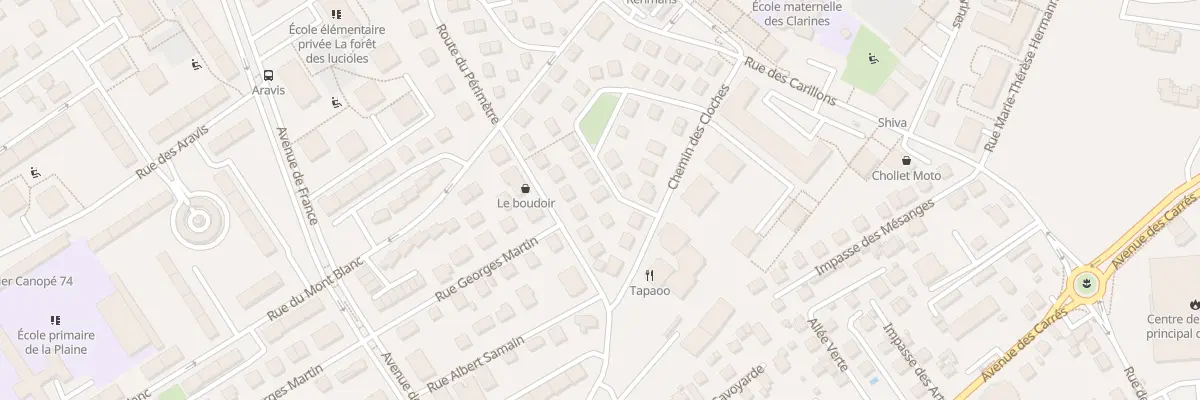 Plan du 5 Rue Georges Paccard à Annecy