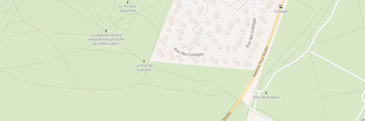 Plan du 60 Rue des Cottages à Villers-lès-Nancy