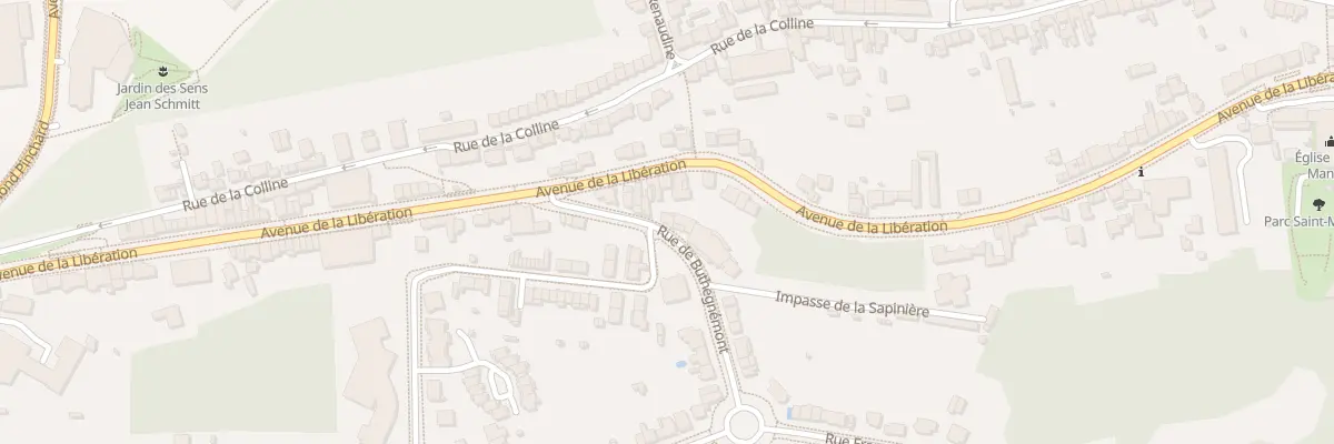 Plan du 30 Rue de Buthegnemont à Nancy