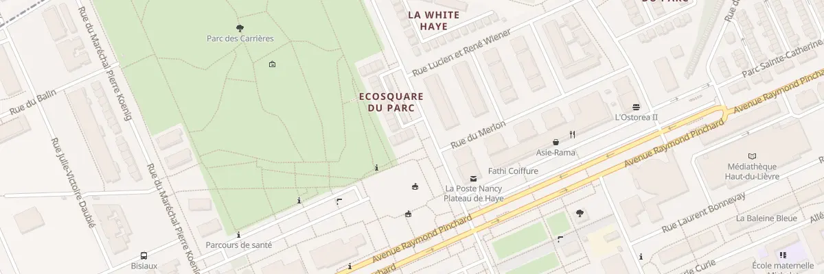 Plan du 143 Rue Henri Brun à Nancy