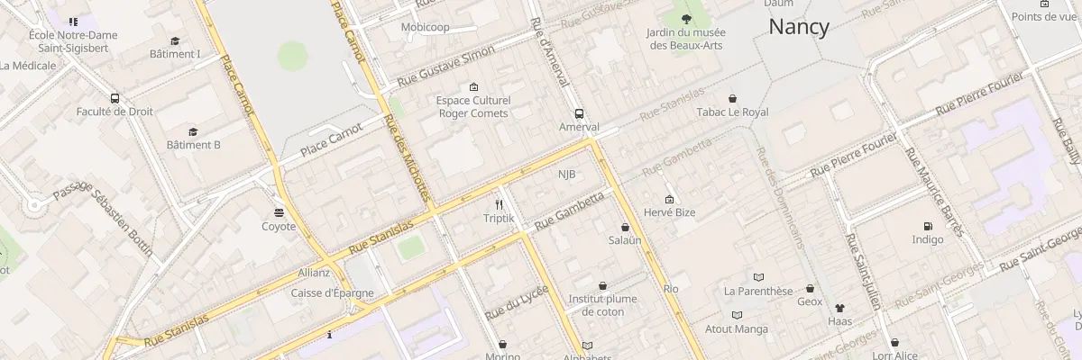 Plan du 33 Rue Stanislas à Nancy