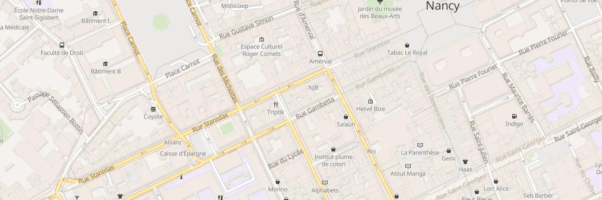 Plan du 30 Rue Gambetta à Nancy