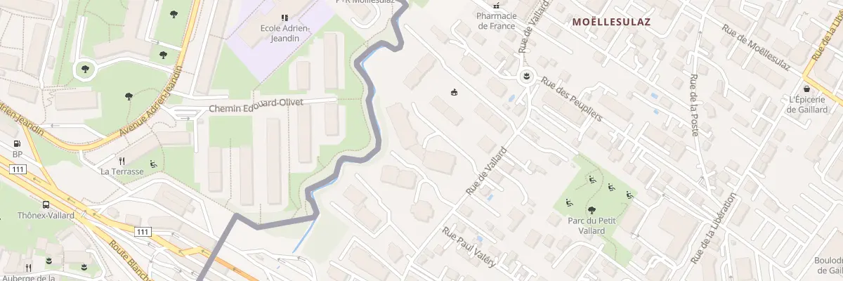 Plan du 20B Rue de Vallard à Gaillard