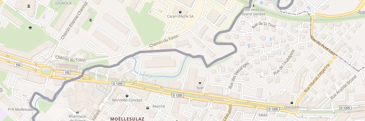 Plan du 134 Rue de Geneve à Gaillard