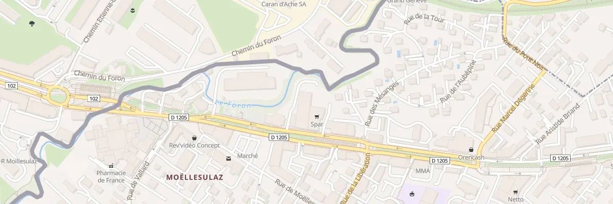 Plan du 118 Rue de Geneve à Gaillard
