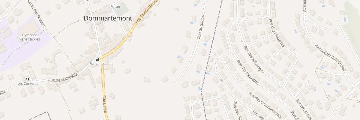 Plan du 12 Rue du Saulcy à Dommartemont