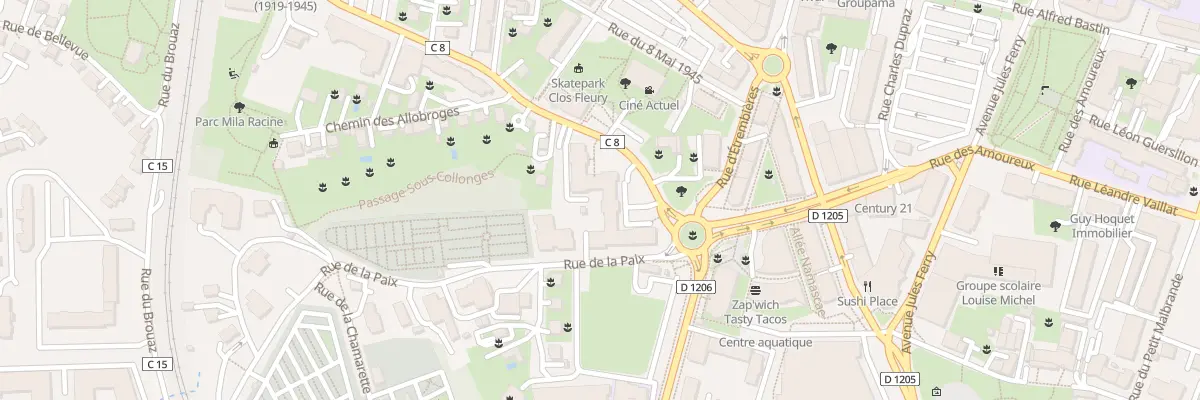 Plan du 36 Rue du Saleve à Annemasse