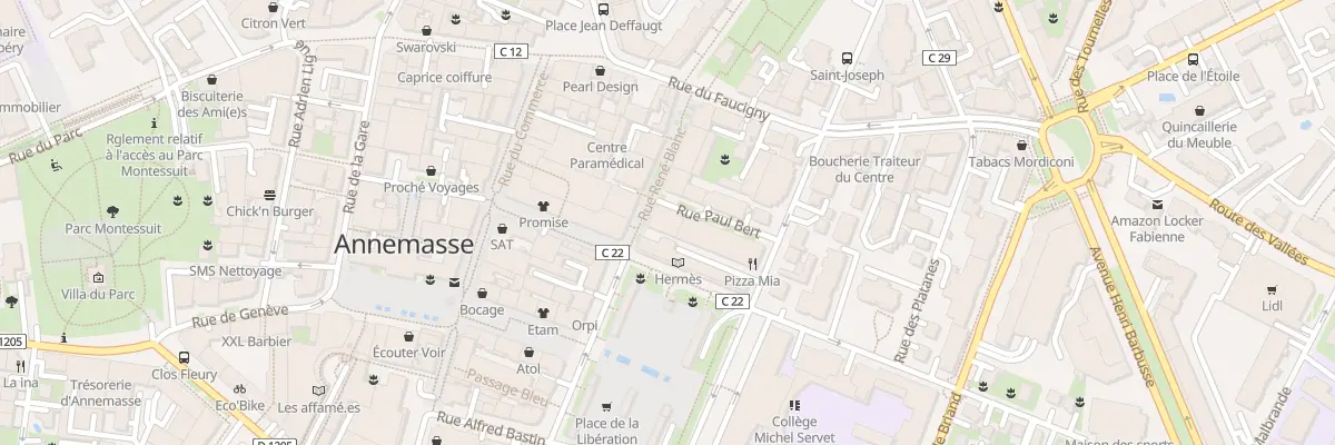 Plan du 11 Rue Paul Bert à Annemasse