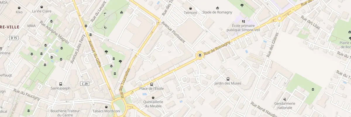 Plan du 19 Rue de Romagny à Annemasse