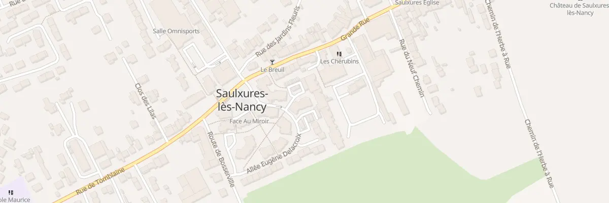 Plan du 3 Rue Eugene Delacroix à Saulxures-lès-Nancy