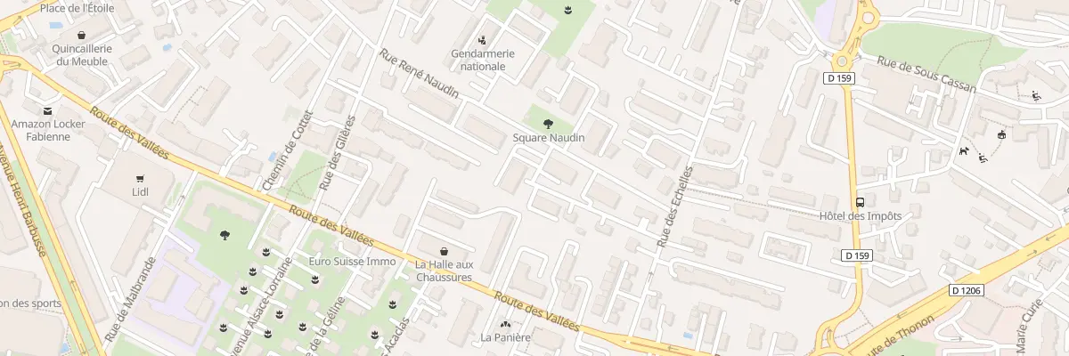 Plan du 12 Rue René Naudin à Annemasse