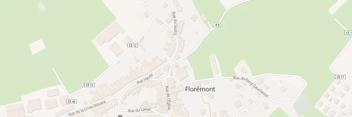 Plan du 4 Rue du Saulcy à Florémont