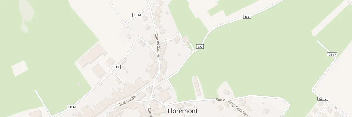 Plan du 12 Rue du Saulcy à Florémont