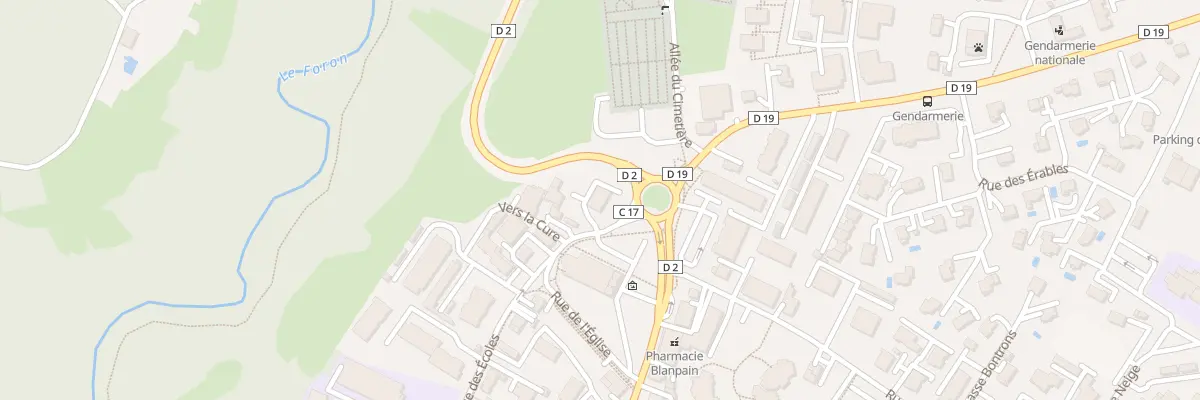 Plan du 50 Rue des Ecoles à Reignier-Ésery
