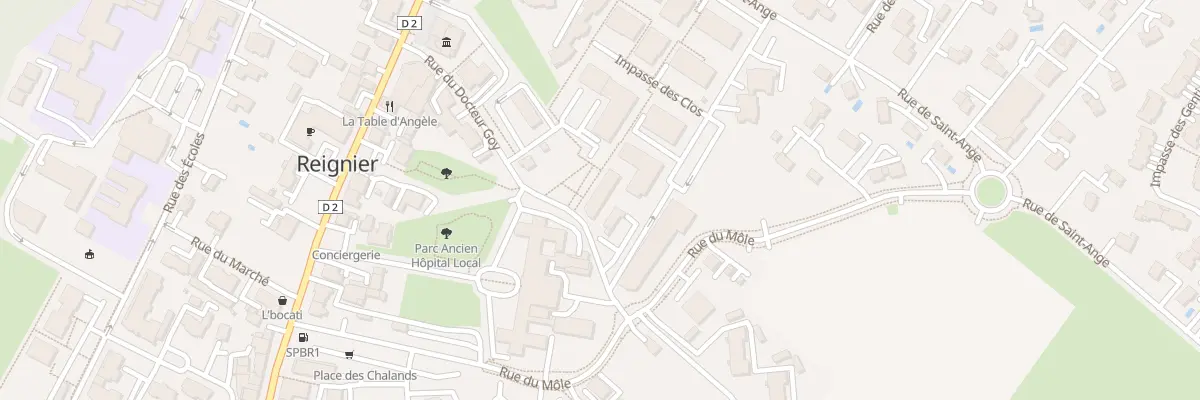 Plan du 219 Rue du Docteur Goy à Reignier-Ésery