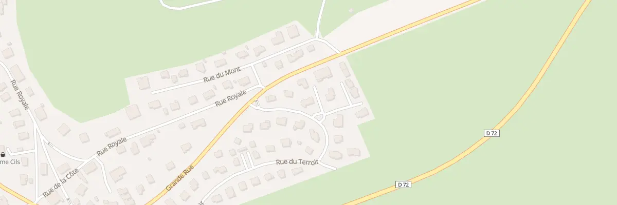 Plan du 44 Rue du Terroir à Chaffois