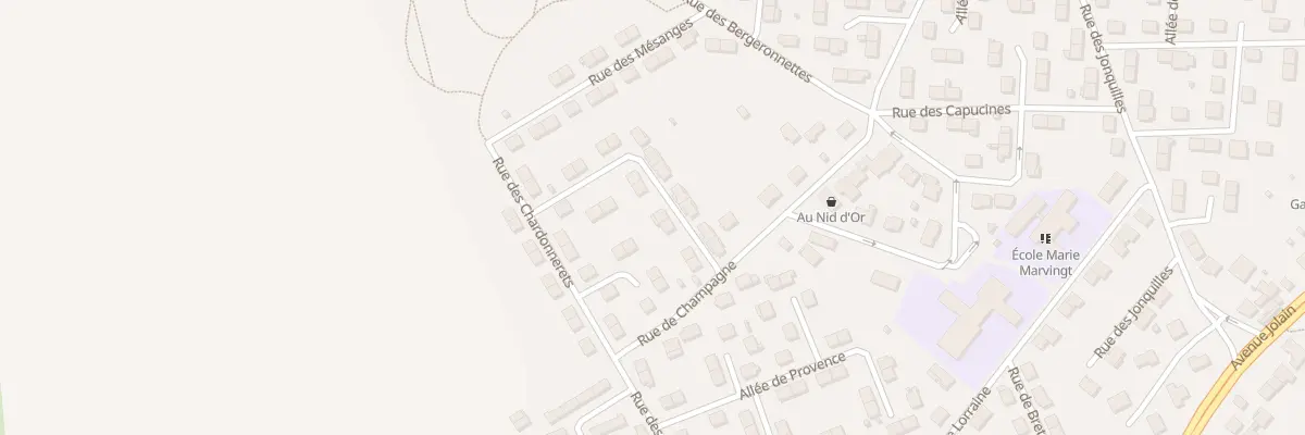 Plan du 11 Rue des Cigognes à Saint-Nicolas-de-Port