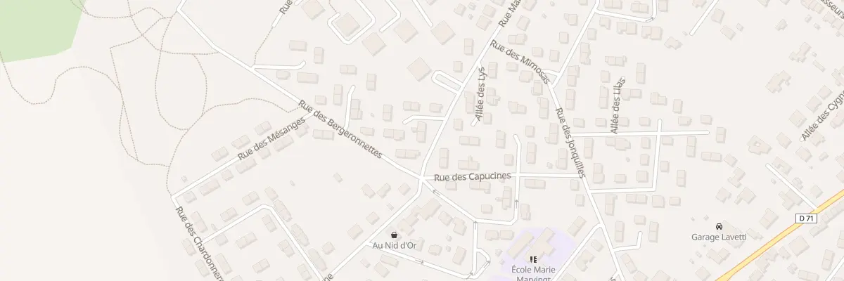 Plan du 16 Rue des Mimosas à Saint-Nicolas-de-Port